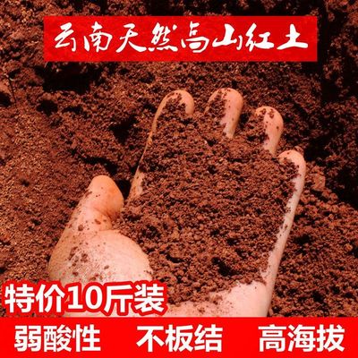 云南红土 种花种菜 茶花 杜鹃花 三角梅用土 种植土 一包10市斤