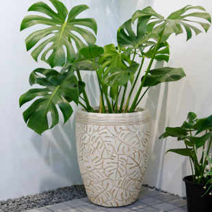 创意庭院绿植龟背竹花盆客厅特大号网红家用花园户外欧式简约艺术