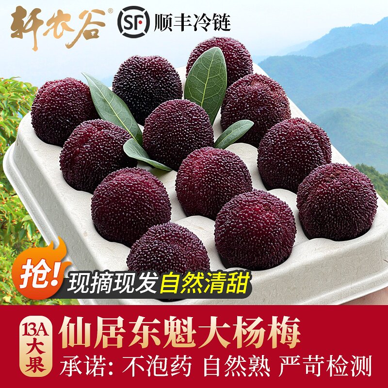 仙居杨梅鲜果新鲜东魁应季浙江水果扬梅现摘现发大果鲜杨梅礼盒