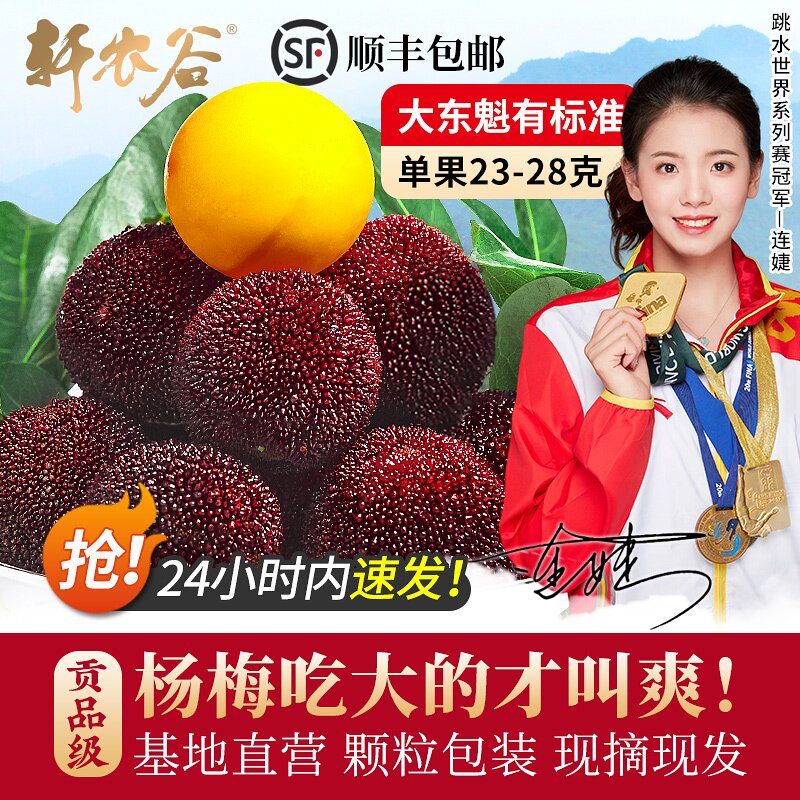 正宗仙居杨梅新鲜特大东魁鲜果高山现摘现发当季水果礼盒浙江台州
