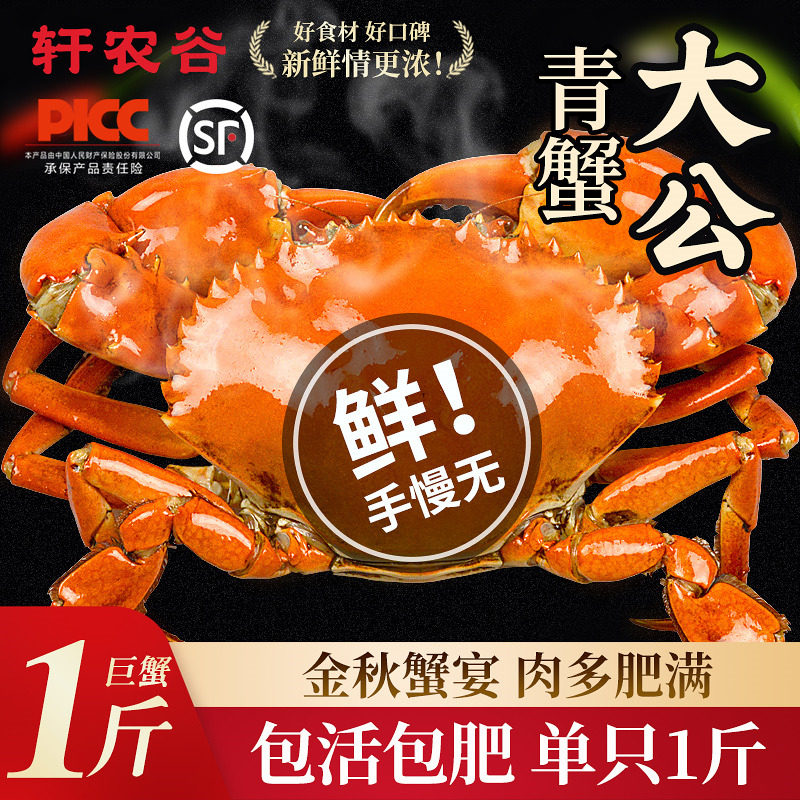 轩农谷青蟹鲜活海鲜水产螃蟹特大公蟹肉蟹蝤蠓1斤1只台州中秋特产