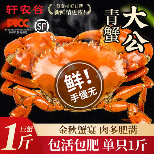 轩农谷大公青蟹1斤1只