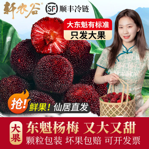 仙居东魁杨梅又大又甜顺丰冷链
