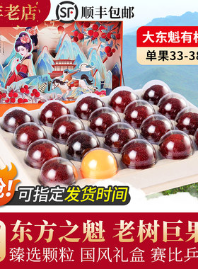 仙居东魁大杨梅当季现摘现发