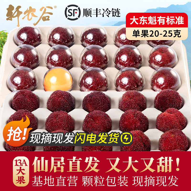 [13A大果]正宗仙居东魁杨梅鲜果现摘现发90颗礼盒装新鲜时令水果