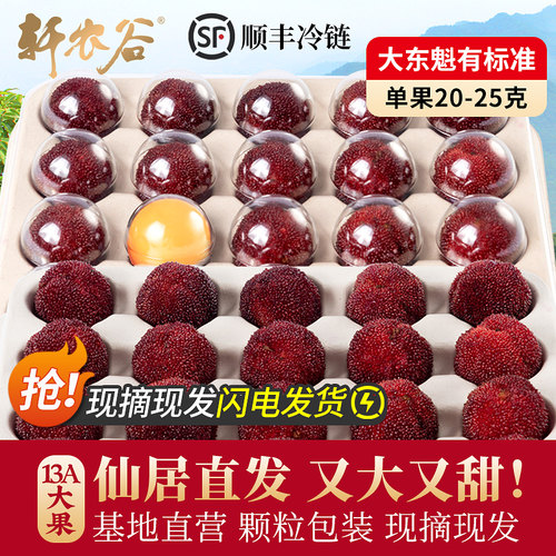 仙居东魁大杨梅现摘现发礼盒装