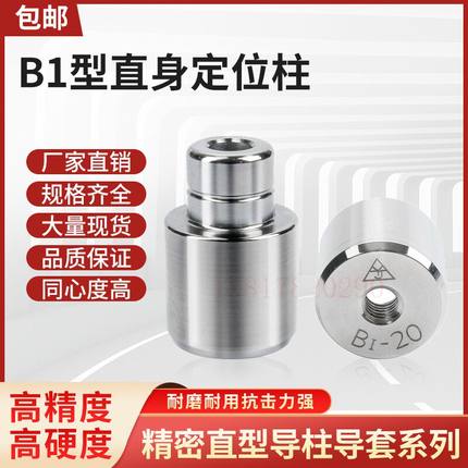 精密模具直身导柱导套模具精定位圆形零度直身定位柱精定位销B1型