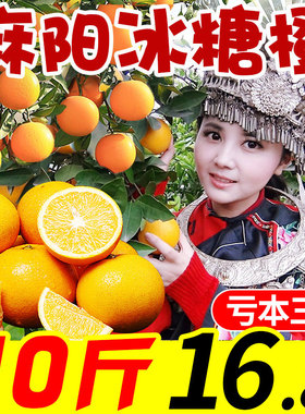 精选正宗湖南麻阳冰糖橙子10斤新鲜水果当季整箱手剥甜柑榨汁包邮