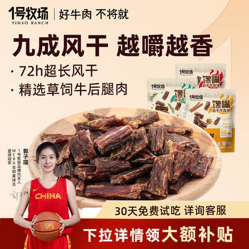 内蒙古超风干牛肉草原特产牛肉干