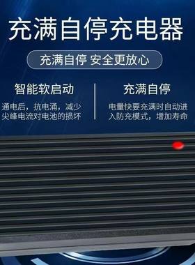 锂电池电动车充电器48V24V2A36V60V3A72V5A滑板哈雷平衡车锂离子