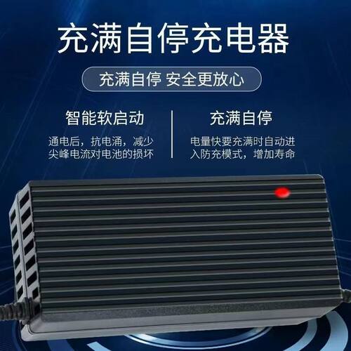 锂电池电动车充电器48V24V2A36V60V3A72V5A滑板哈雷平衡车锂离子
