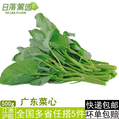 新鲜蔬菜500g 广东菜心 菜薹 水白菜花 富硒菜心 5件包邮