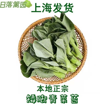 正宗崇明青菜苔 当季霜冻矮脚菜苔新鲜菜心露天青菜头嫩菜尖菜花