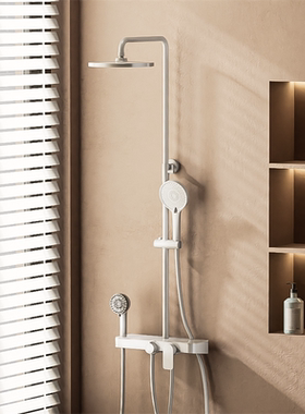 '凯蒂丝 Candice 单把挂墙一体式淋浴柱(带置物平台)