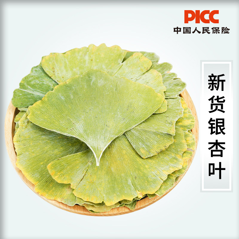 银杏叶中药材500g新货银杏叶粉白果叶银杏叶飞蛾叶白果树叶泡茶