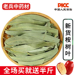 桉树叶中药材500g正品新货大叶桉自然晒干小桉叶尤加利叶按树叶子