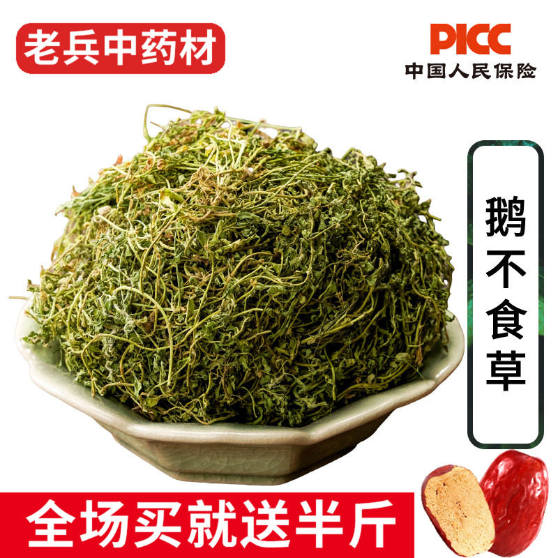 鹅不食草中药材500g野生鹅不吃草 饿不食草 鹅不食草粉另售苍耳子