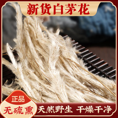白茅花中药材野生茅针花白毛花