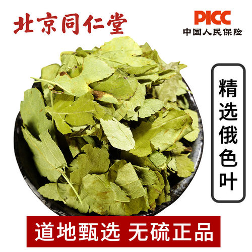 高原俄色叶野生正品变叶海棠叶