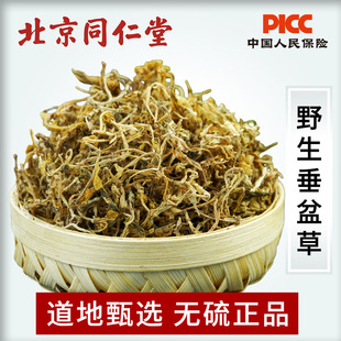 垂盆草中药材500g云南野生药用垂盆草粉特级无硫干货中草药泡茶喝