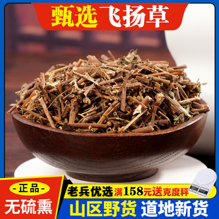 飞扬草中药材500g野生大飞扬草洗澡新鲜干货节节花中草药店铺大全