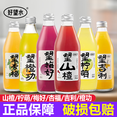 好望水望山楂气泡水饮料5瓶300ml