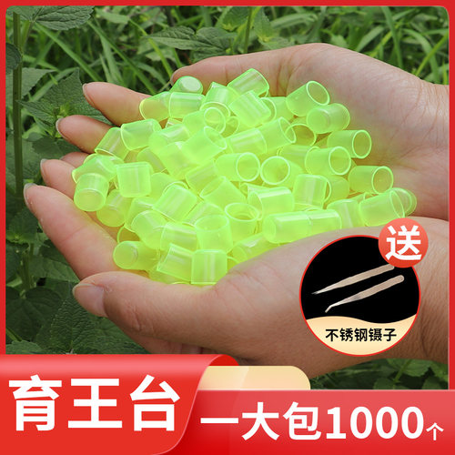 蜜蜂育王台基意蜂专用塑料单个育王台杯人工培育蜂王蜡碗养蜂工具 - 封面