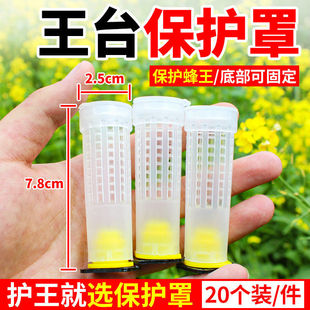 蜜蜂王台保护罩培育蜂王幼虫防护王笼中意蜂专用育王台基养蜂工具
