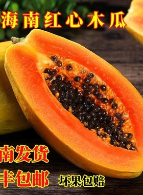 海南水果木瓜10斤甜糯红心牛奶木瓜饱满肉厚新鲜水果自家果园现摘
