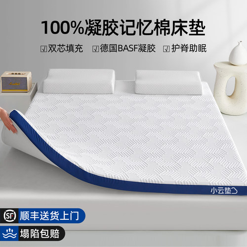 凝胶记忆棉薄款床垫软垫家用卧室榻榻米海绵儿童租房专用床褥子A