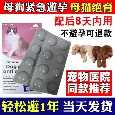 狗狗事后紧急避孕母猫绝育药