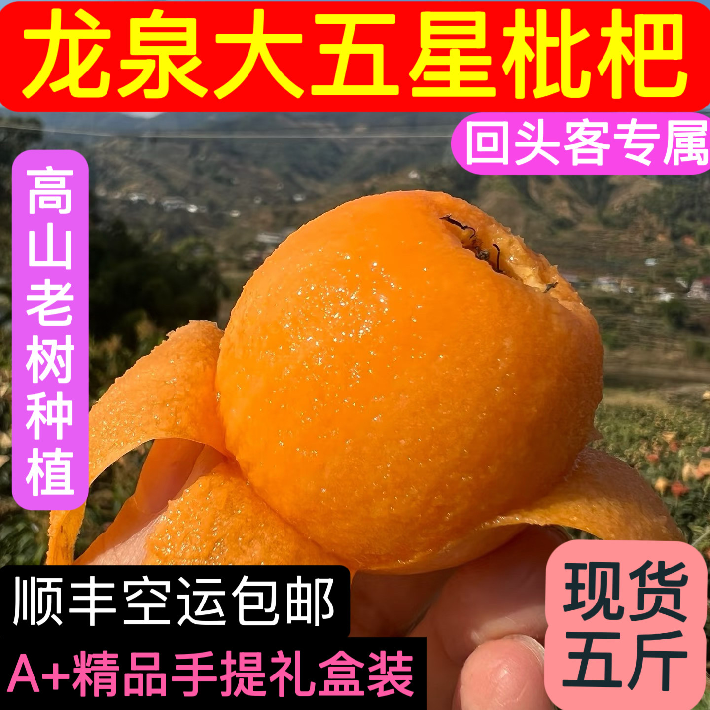 四川成都龙泉驿大五星枇杷高山种植沙地枇杷礼盒装大果顺丰包邮