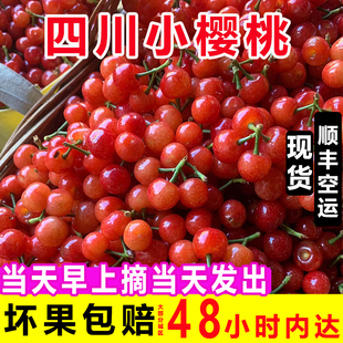 顺丰空运现摘现发四川米易黄草小樱桃大凉山新鲜孕妇水果恩特儿