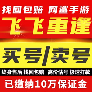 飞飞：重逢手游账号成品战士法师圣骑士魔导师手动精品号新区全服