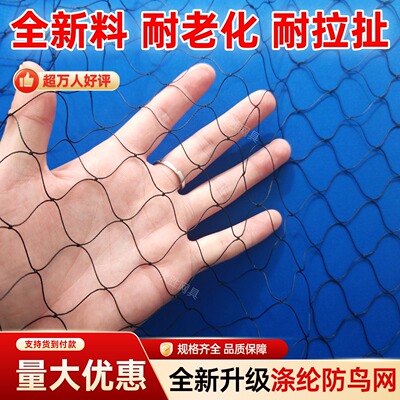 黑色涤纶果园果树大棚专用防鸟网