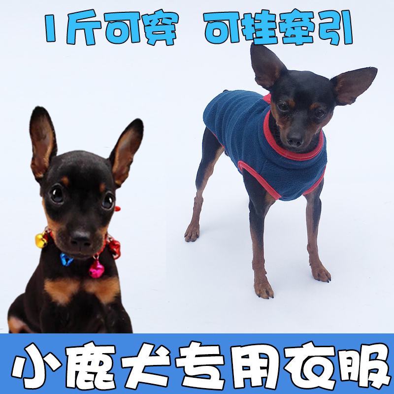 小鹿犬宠物狗狗专用卫衣小型犬小体带牵引绳衣服冬天加厚保暖
