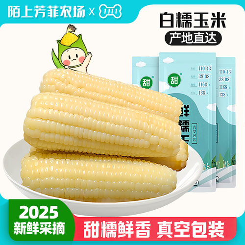 【东北糯玉米】微甜口感白糯玉米