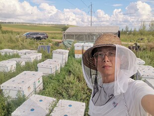 2025 龙眼蜜 秋冬滋补 原蜜 高品质蜂蜜 挤压瓶 42波美度+