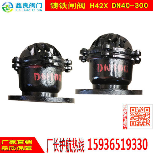 底阀 铸铁底阀 H42X DN40 DN50 DN65 DN80 DN100 直销