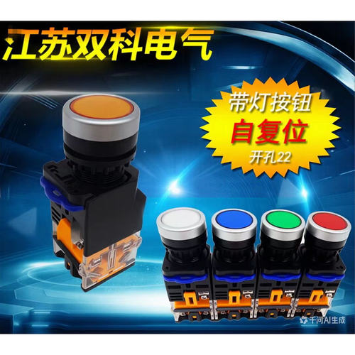 原上海双科带灯按(开关