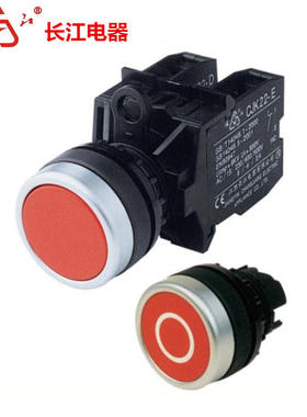 江阴长江电器平形瞬时钮CJK22-11P/R G Y W B K点动复位按钮开关