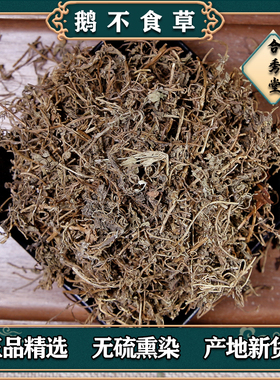 中草药 鹅不食草 中药材鹅不吃草 鹅不食草粉饿不食草