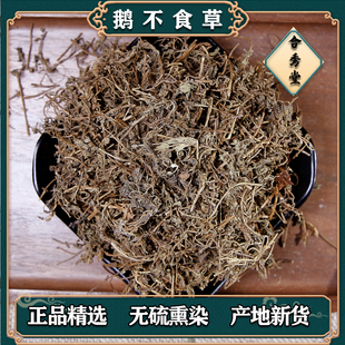 中草药 鹅不食草 中药材鹅不吃草 鹅不食草粉饿不食草