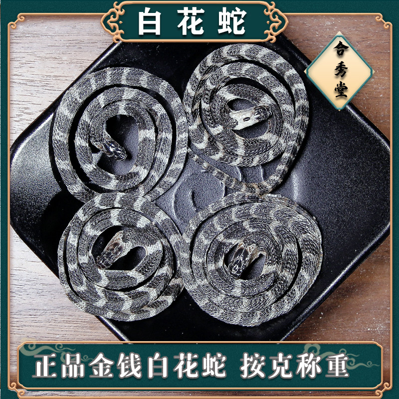 任选金钱白花蛇中药材