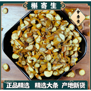中草药 中药材 槲寄生 桑寄生 桑寄生茶