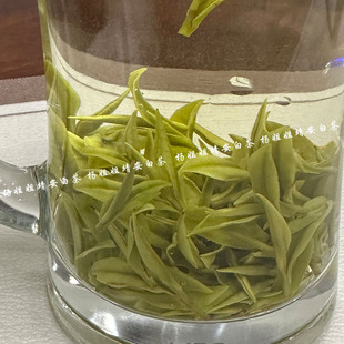 2025年新茶靖安白茶高山云雾明前正宗江西绿茶春茶叶100克礼盒装