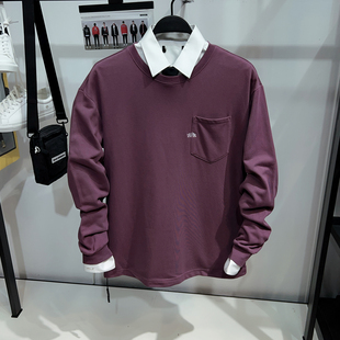 体恤打底衫 小毛圈重磅圆领卫衣字母刺绣宽松情侣长袖 男装 1334 鸟