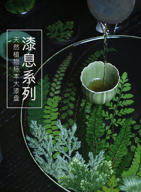 种籽造物漆息植物标本手作大漆茶盘非遗手工托盘摆件礼盒漆器礼物