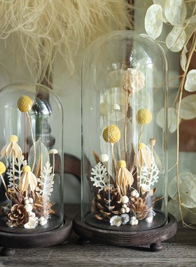 种籽造物 小星球玻璃罩 植物标本干花永生花复古客厅桌面摆件