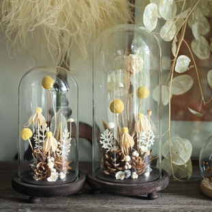 种籽造物 植物标本干花永生花复古客厅桌面摆件 小星球玻璃罩